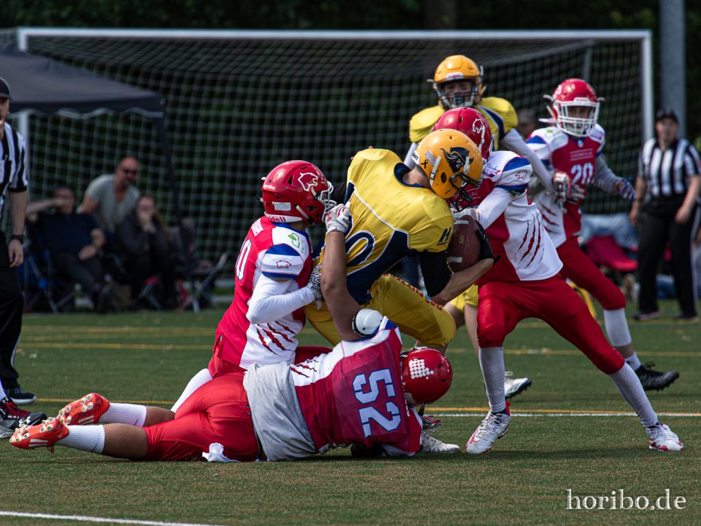 HR-19-06-22-13-53-39-8275