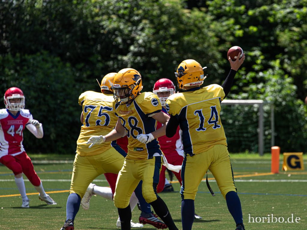 HR-19-06-22-14-10-29-8352