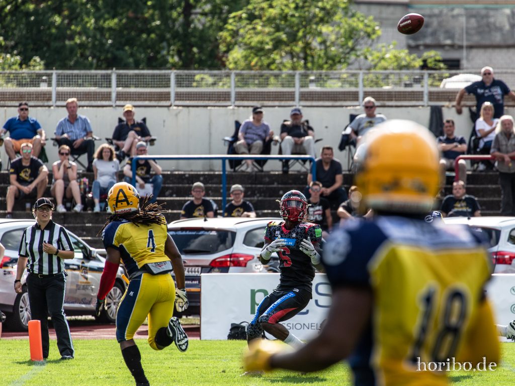 HR-19-08-03-18-09-29-1081