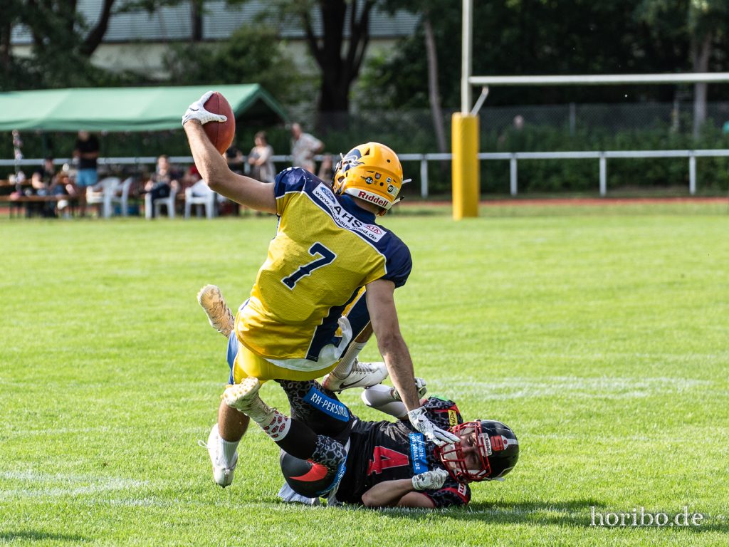 HR-19-08-03-18-13-39-1133