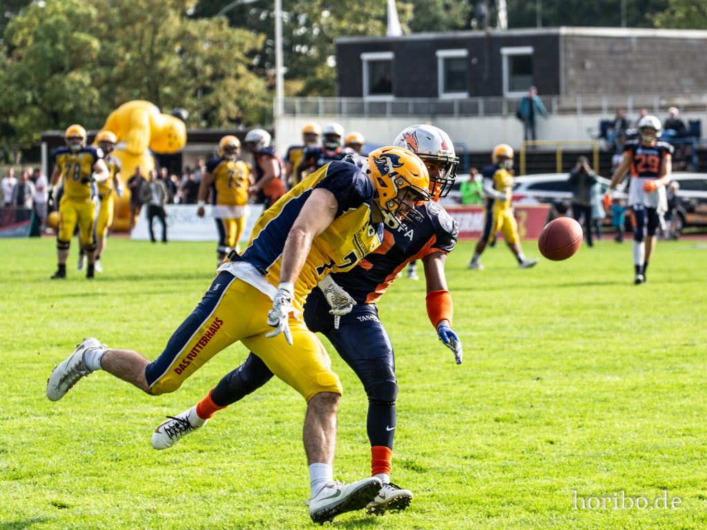 HR-19-08-17-18-56-17-3231