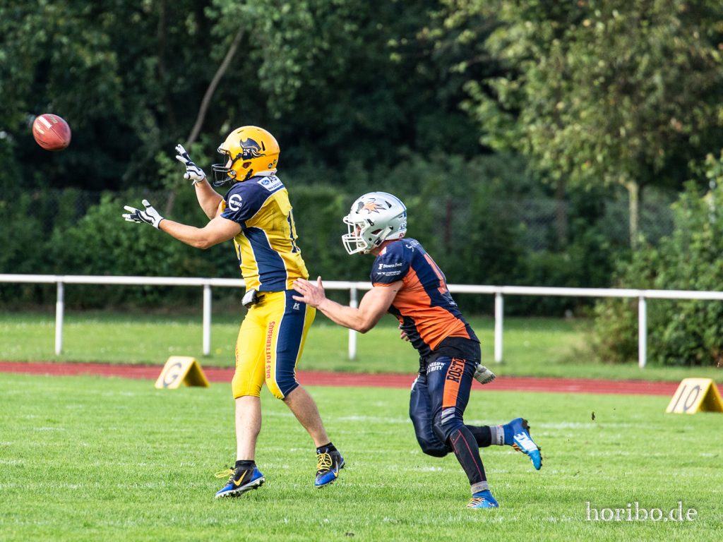 HR-19-08-17-19-13-09-3289