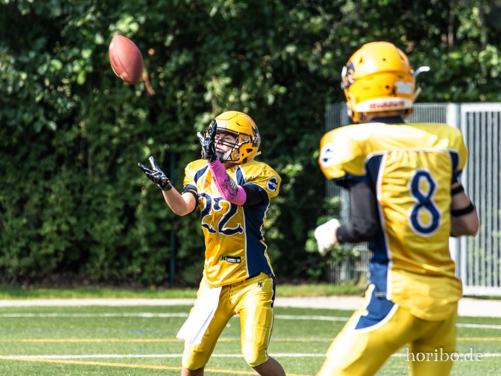 HR-19-08-25-12-01-37-3690