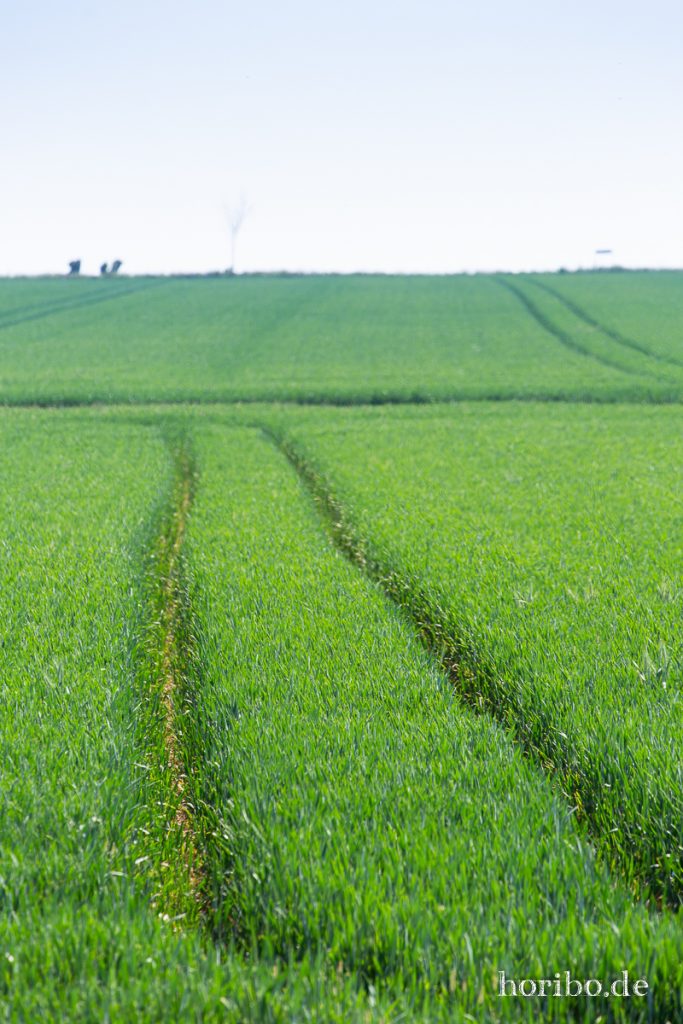 HR-19-06-05-15-27-58-6513