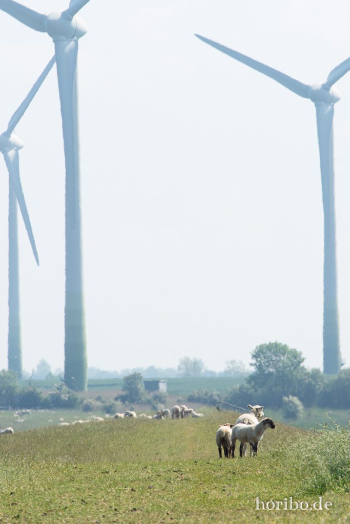 HR-19-06-05-15-41-59-6518