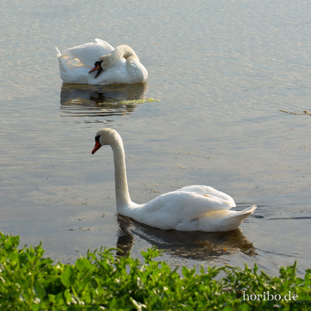 HR-19-06-05-19-31-27-2