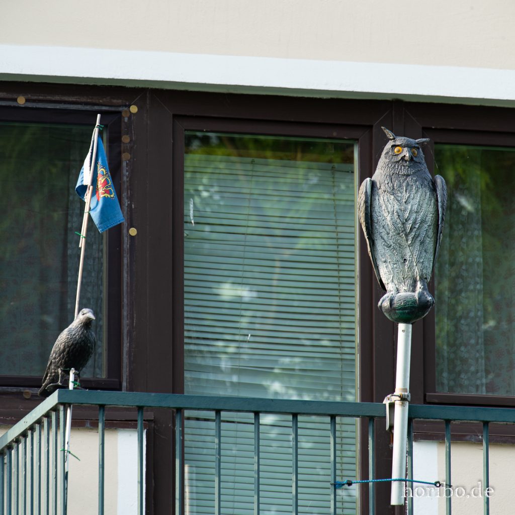 HR-19-06-05-19-42-02-2