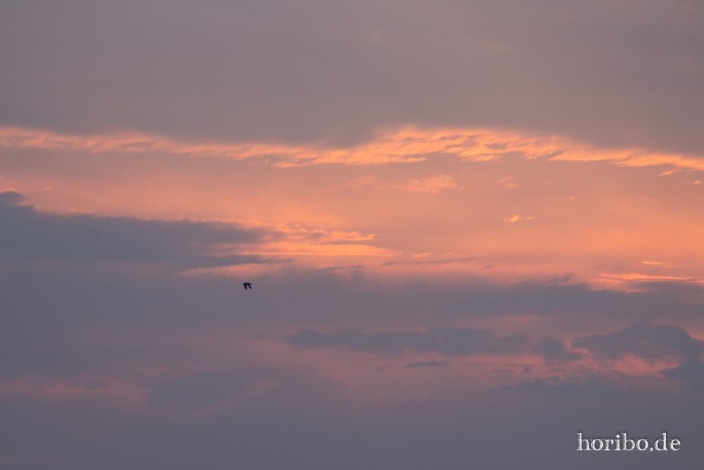 HR-19-06-05-22-17-01-6617