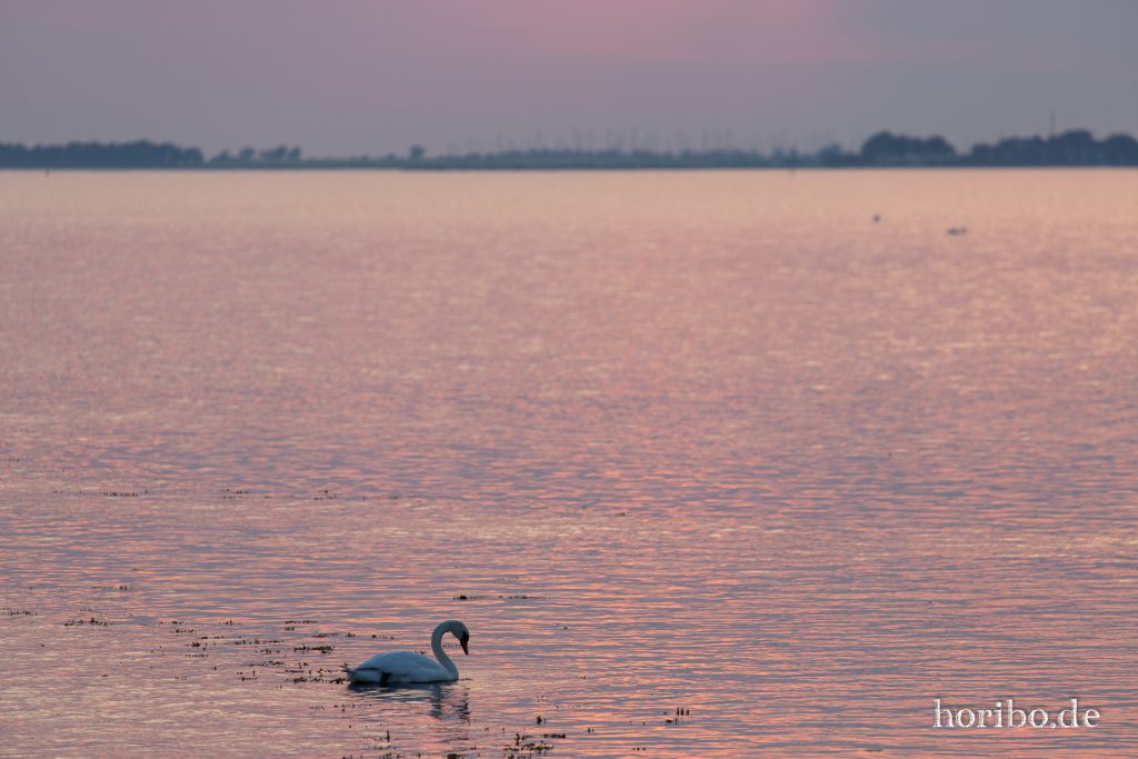 HR-19-06-05-22-18-48-6623