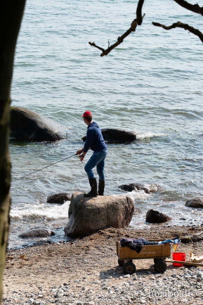 HR-19-06-06-11-09-05-6652