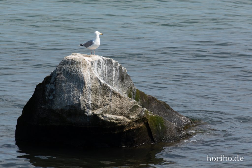 HR-19-06-06-12-31-05-6686