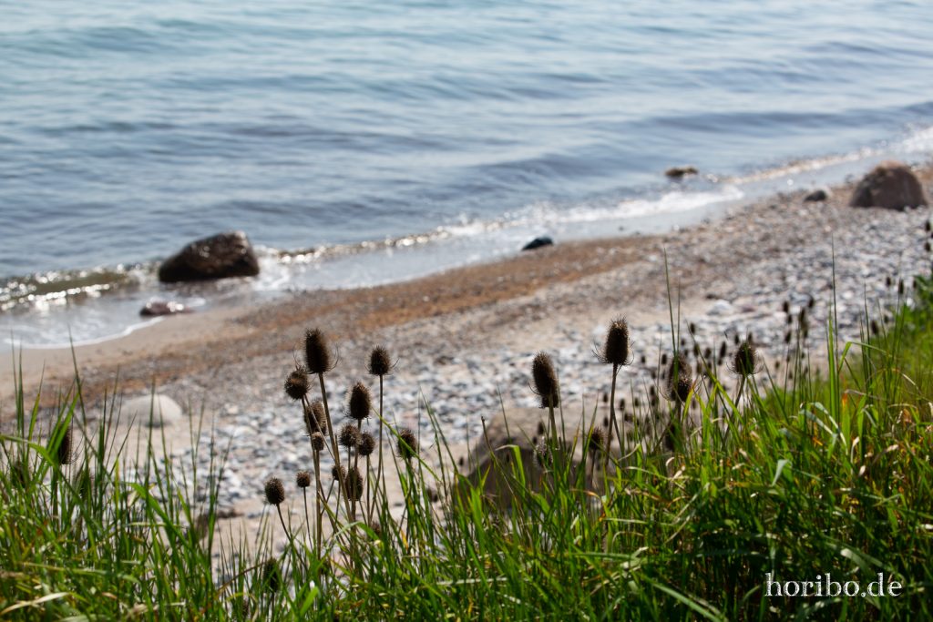 HR-19-06-06-12-44-28-6698