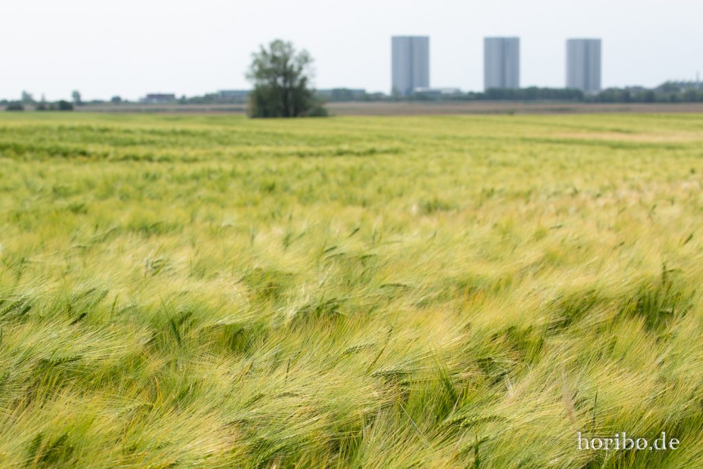 HR-19-06-06-13-44-27-6714