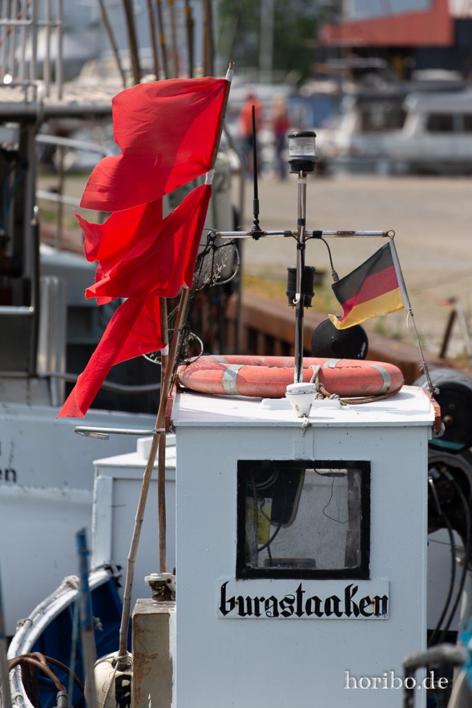 HR-19-06-06-15-02-18-6733