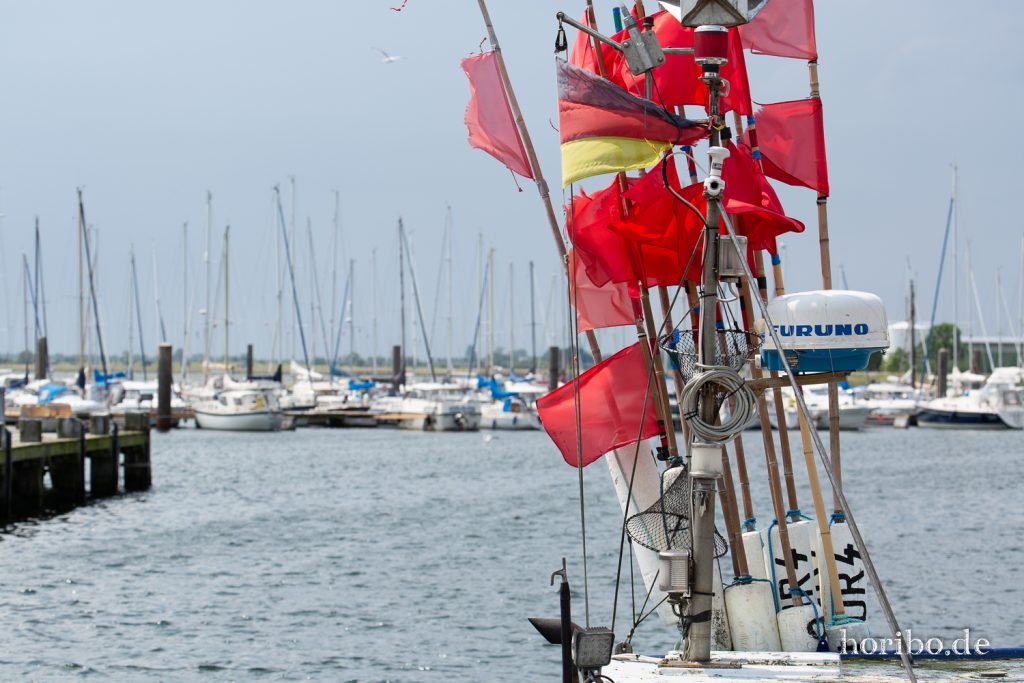 HR-19-06-06-15-03-16-6734