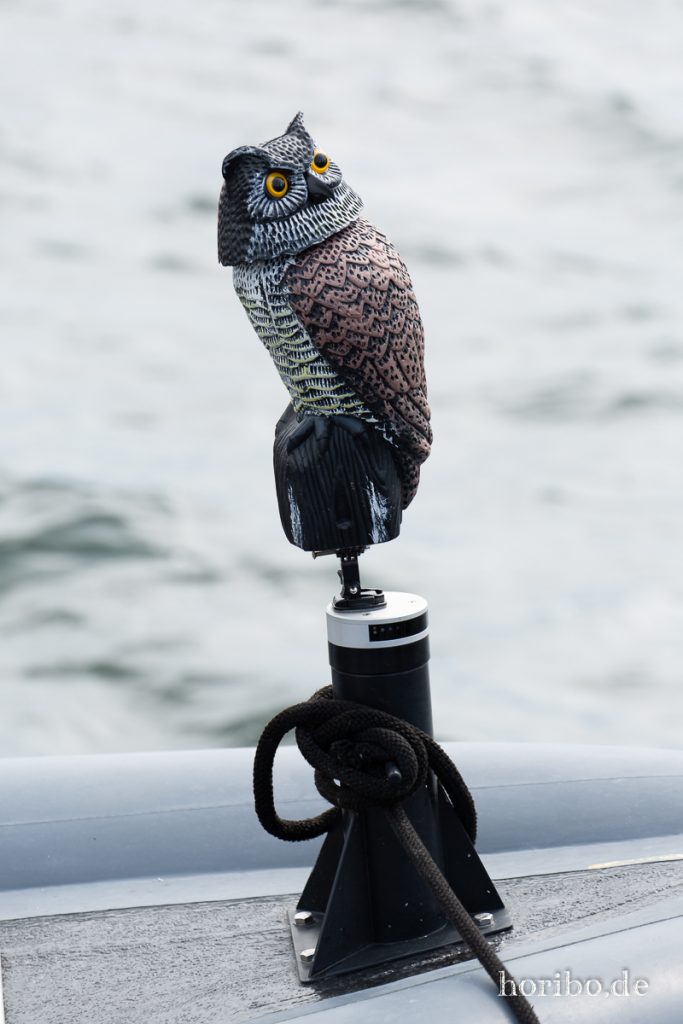 HR-19-06-06-15-11-30-6749