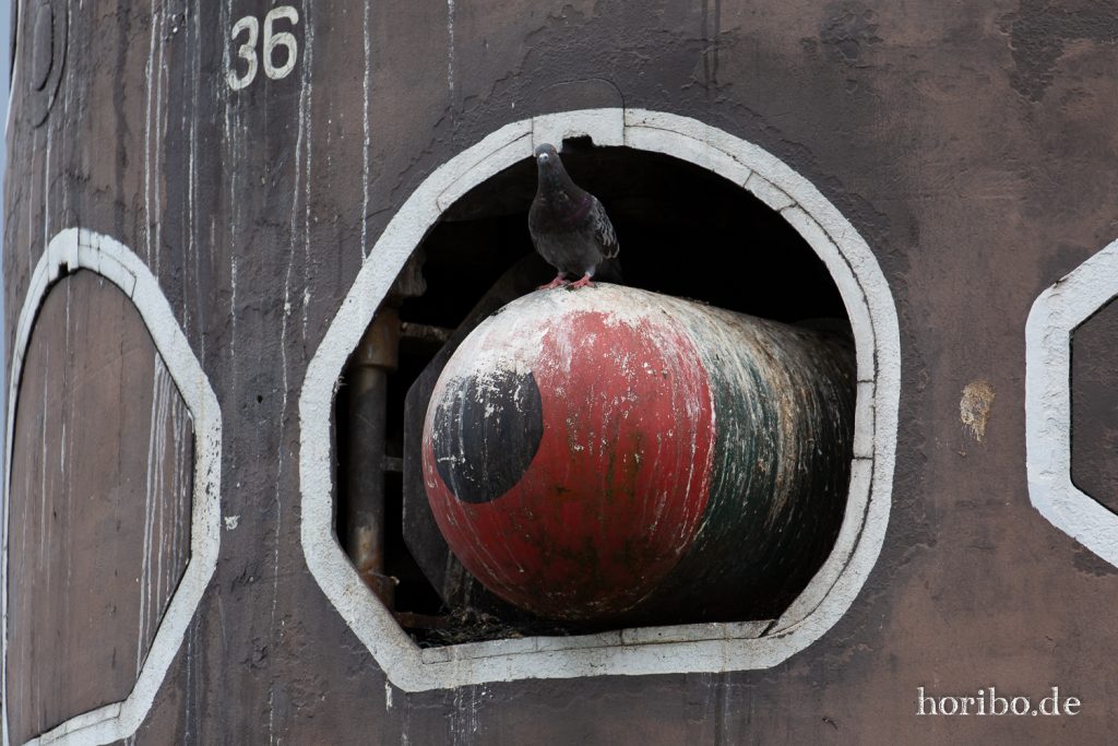 HR-19-06-06-15-48-33-6805