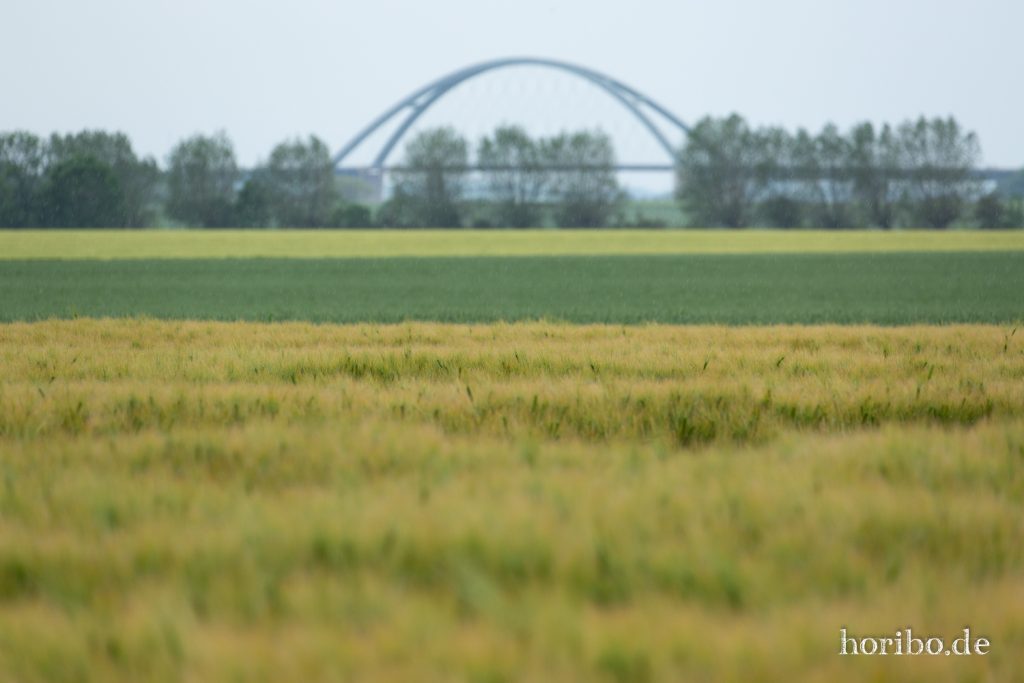 HR-19-06-06-16-07-15-6814