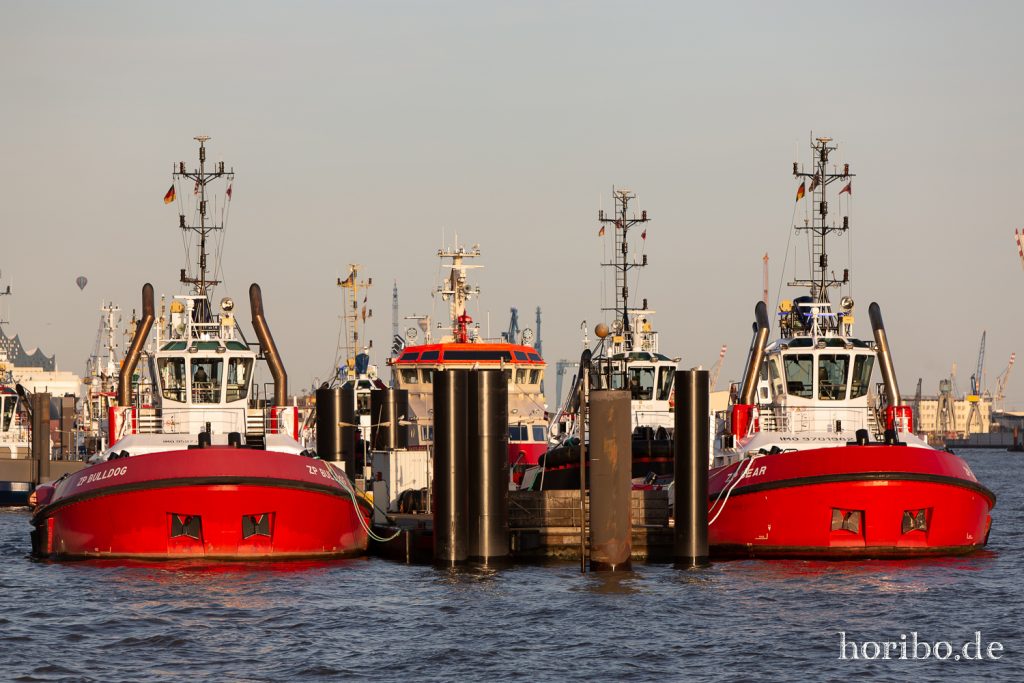 HR-19-09-14-19-40-06-6594