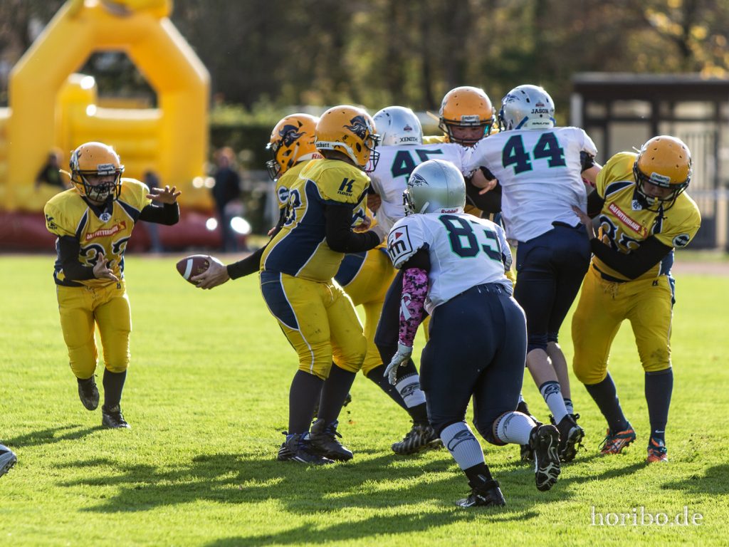 HR-19-10-26-15-57-09-8485