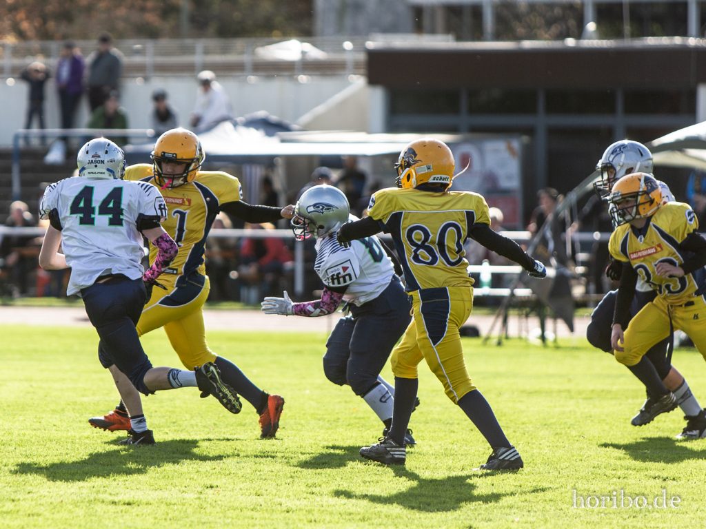 HR-19-10-26-16-00-17-8510