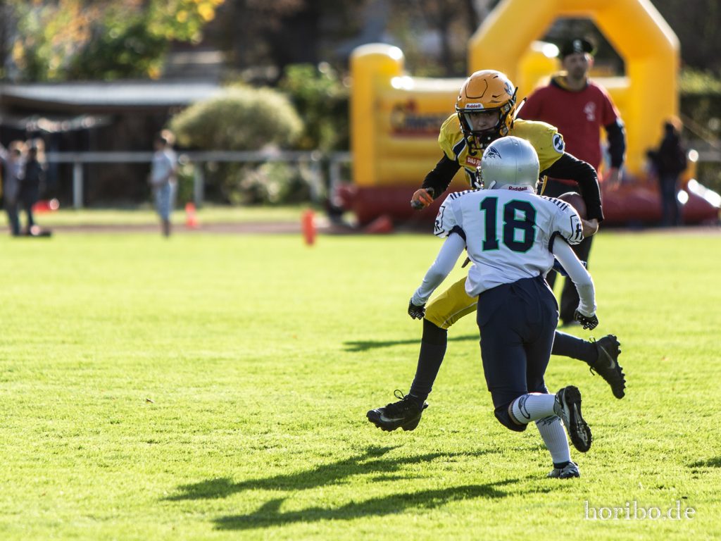 HR-19-10-26-16-00-59-8529