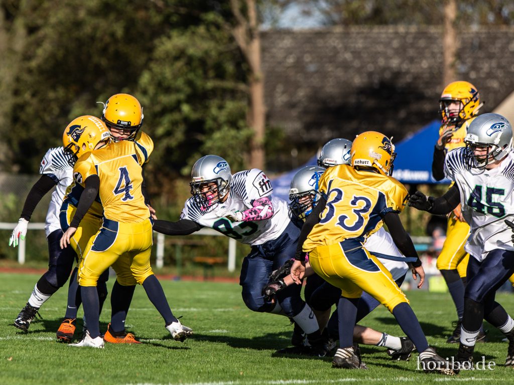 HR-19-10-26-16-10-30-8579