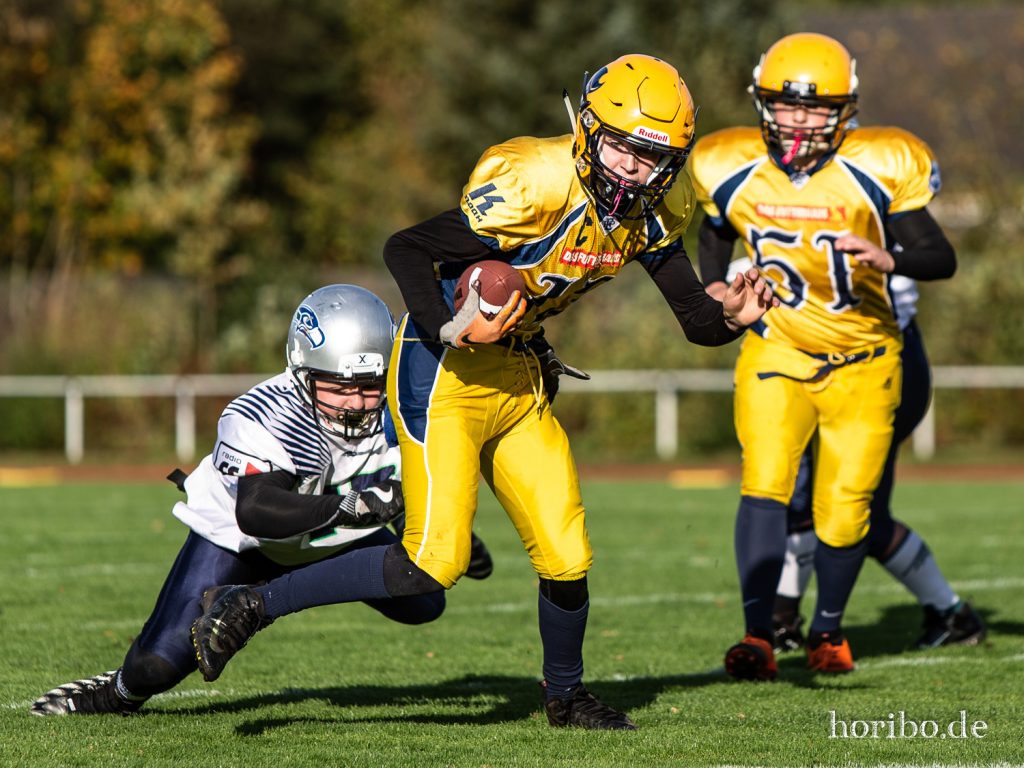 HR-19-10-26-16-11-12-8599