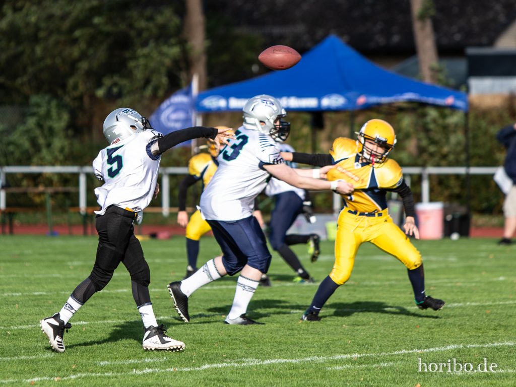 HR-19-10-26-16-15-03-8615