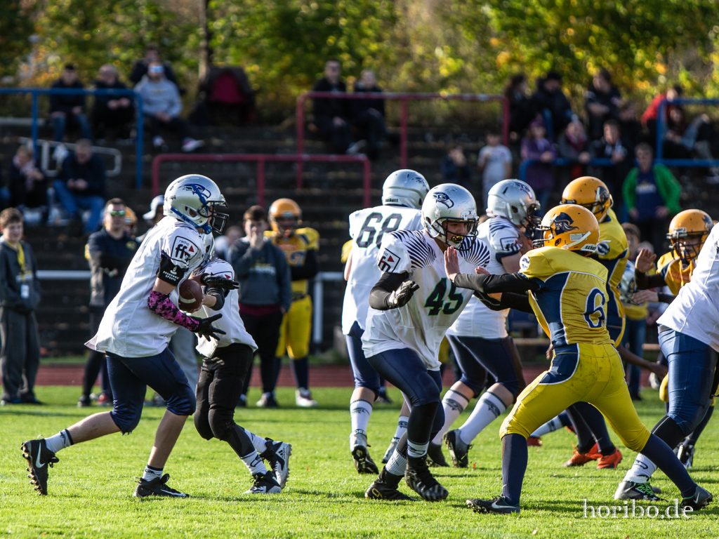 HR-19-10-26-16-21-23-8667