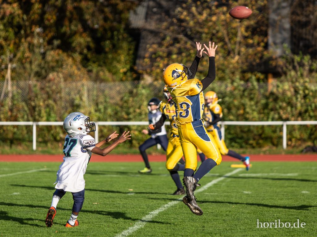 HR-19-10-26-16-58-39-8796