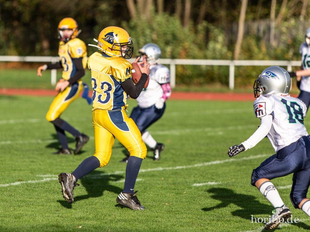 HR-19-10-26-17-00-43-8817