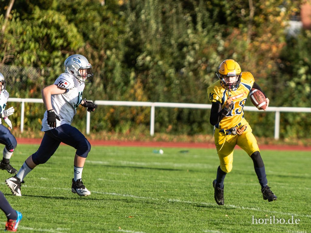 HR-19-10-26-17-10-33-8893