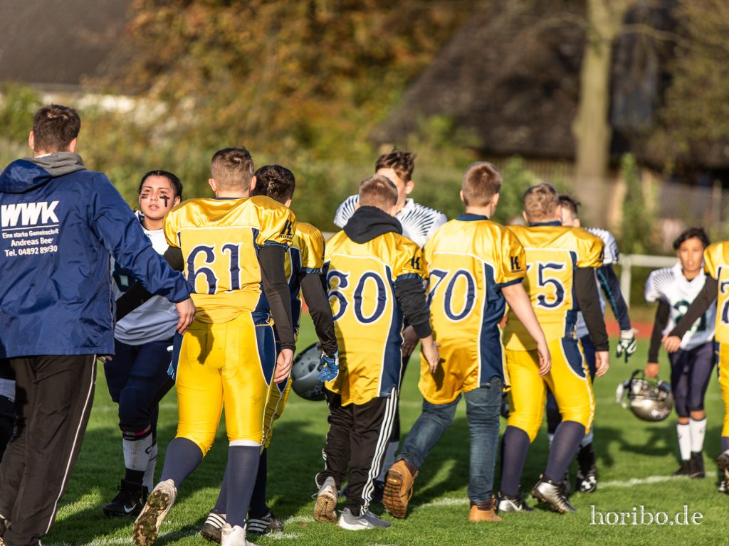 HR-19-10-26-17-33-21-9132