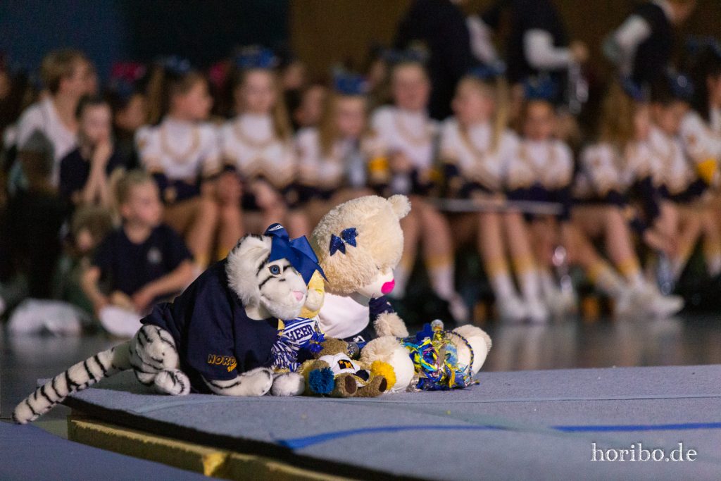 Maskottchen - Cheerleading Generalprobe