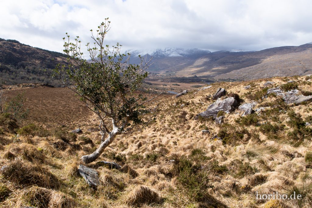 Killarney National Park - Irland