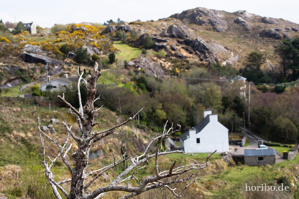 R572 - Ring of Beara - Irland
