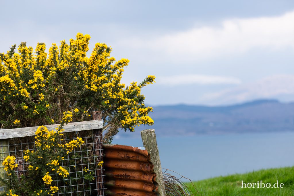 Ring of Beara - Irland