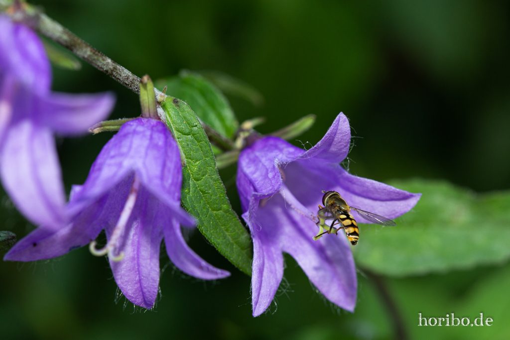 HR-19-06-29-16-28-40-9678