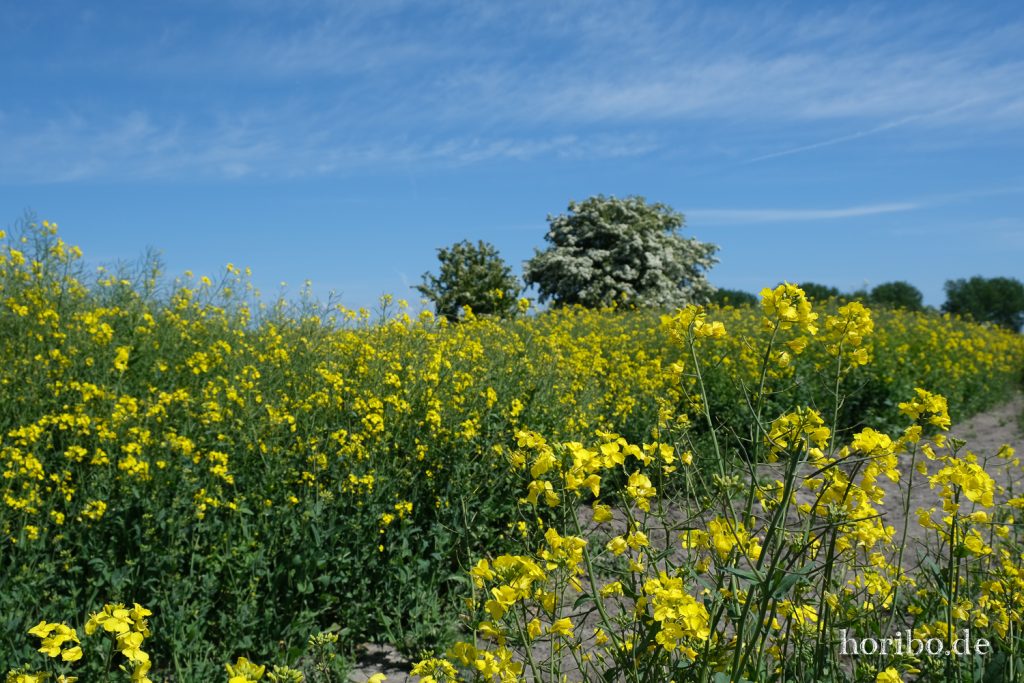 HR-20-05-20-12-21-31-4327