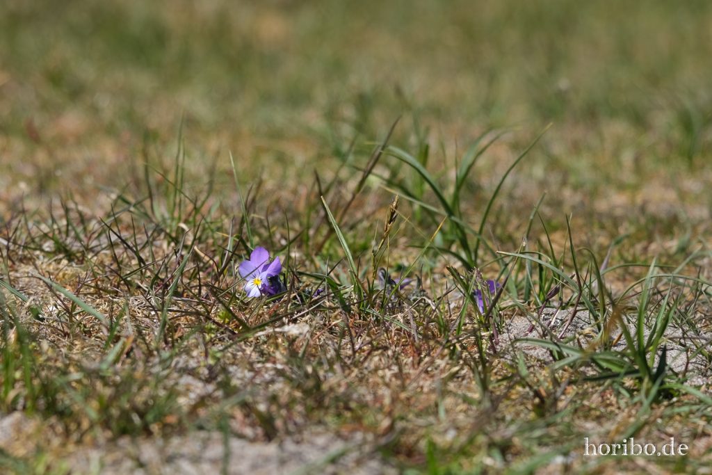 HR-20-05-20-13-08-17-4386