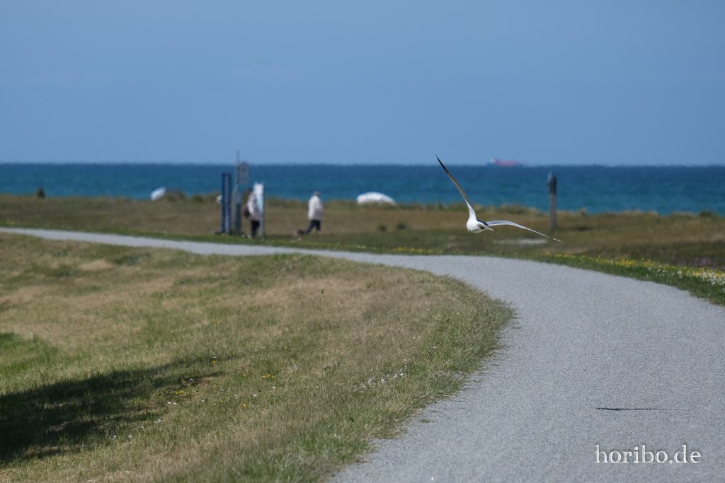 HR-20-05-20-13-11-02-4391