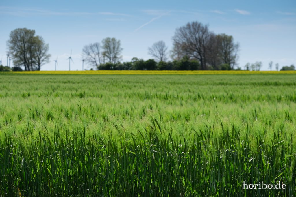 HR-20-05-20-14-17-25-4400