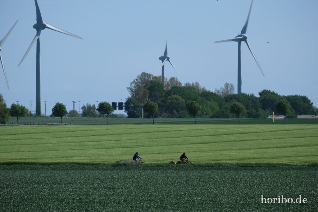 HR-20-05-20-14-50-26-4441