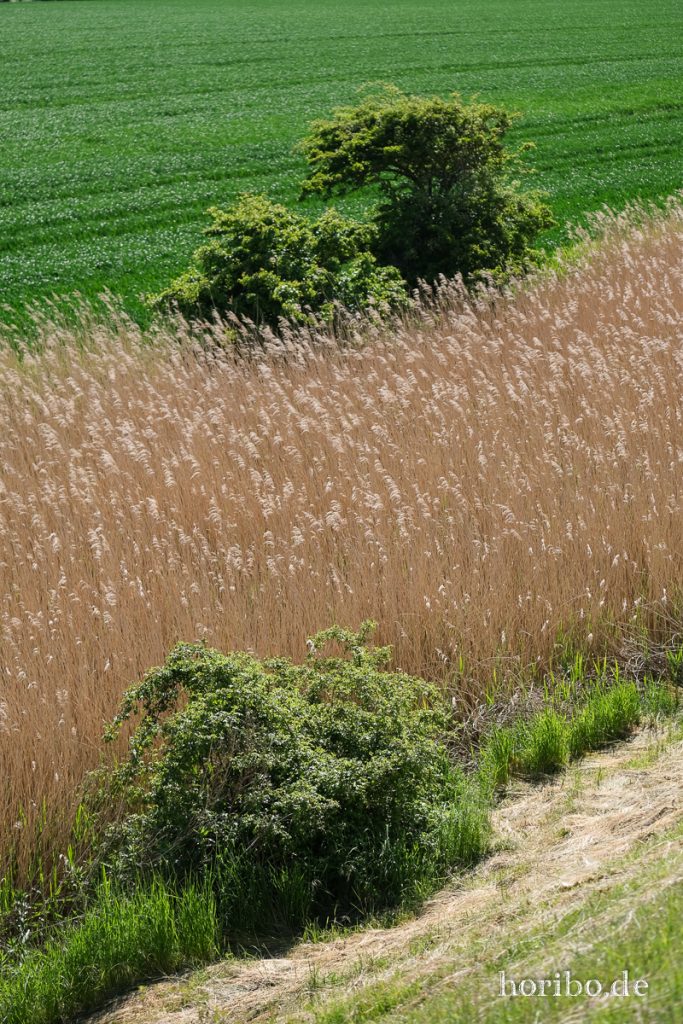 HR-20-05-20-14-55-05-4450