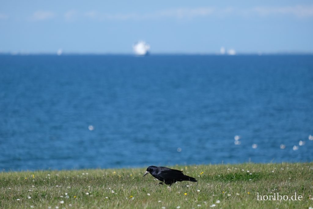 HR-20-05-20-14-56-11-4451