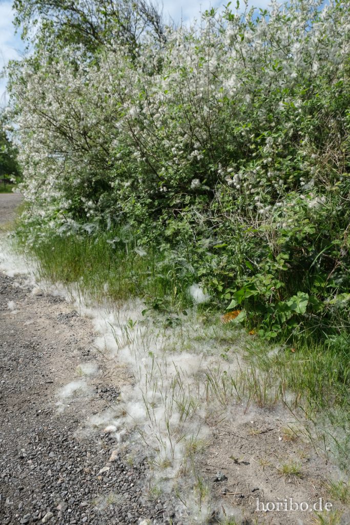 HR-20-05-21-10-17-56-4473