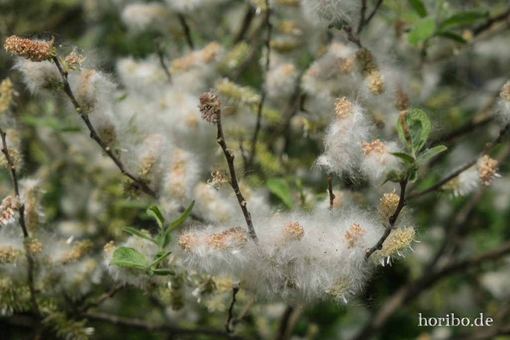 HR-20-05-21-10-18-13-4474