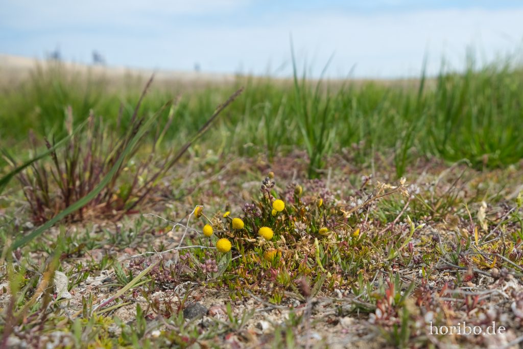 HR-20-05-21-10-26-39-4482