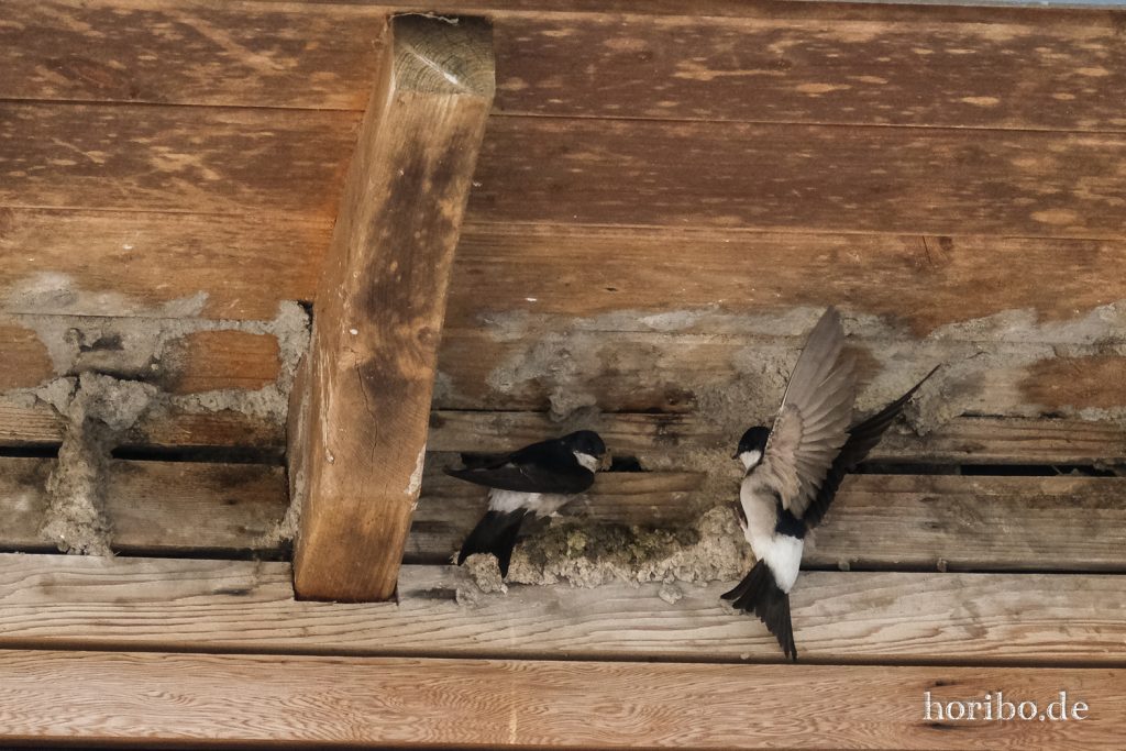 HR-20-05-21-10-49-33-4493